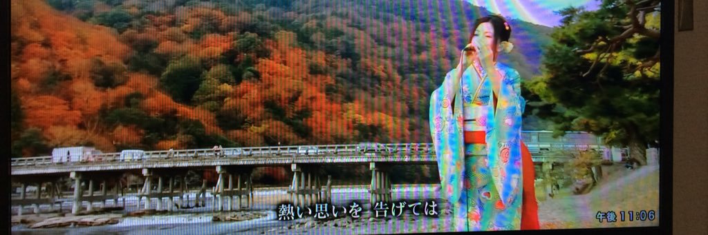 maicro_Heart19's profile banner image
