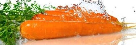 GrannyWasRight's profile banner image