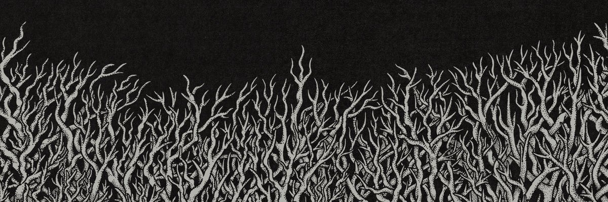 Amos Thorn banner