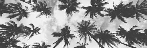 Jami banner