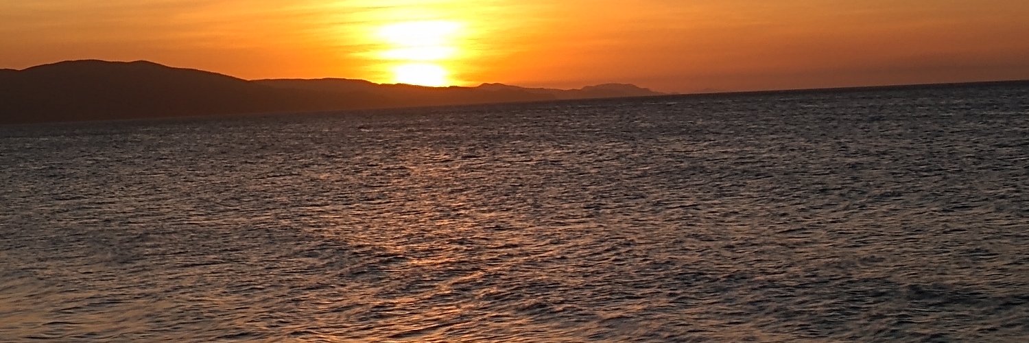 darsiks's profile banner image