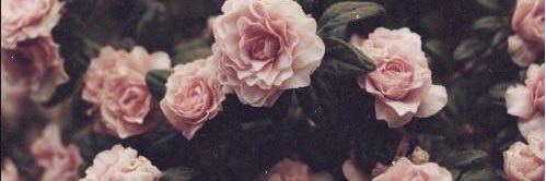 kayli_berth's profile banner image