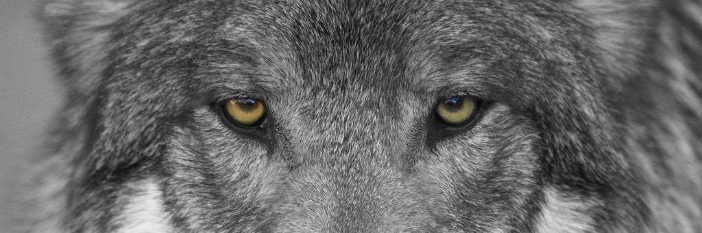 Ken_S19's profile banner image
