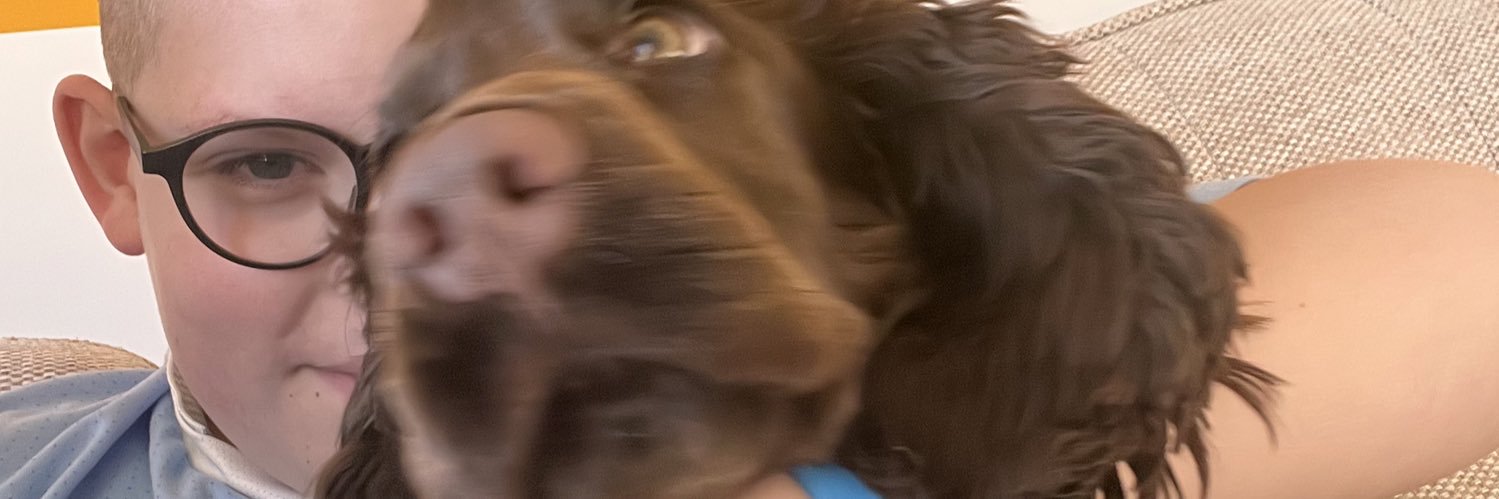 philipa💙 banner