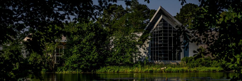 WardMuseum's profile banner image