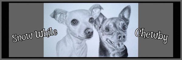 80sqween Profile Banner