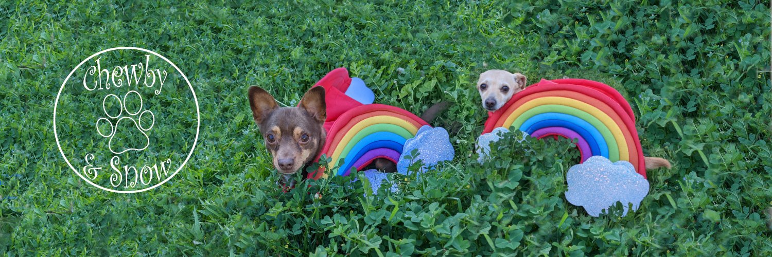 ❤️🏍️Chewby & Snow White🛵❤️ banner