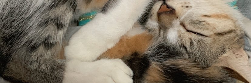isaaan_nn's profile banner image