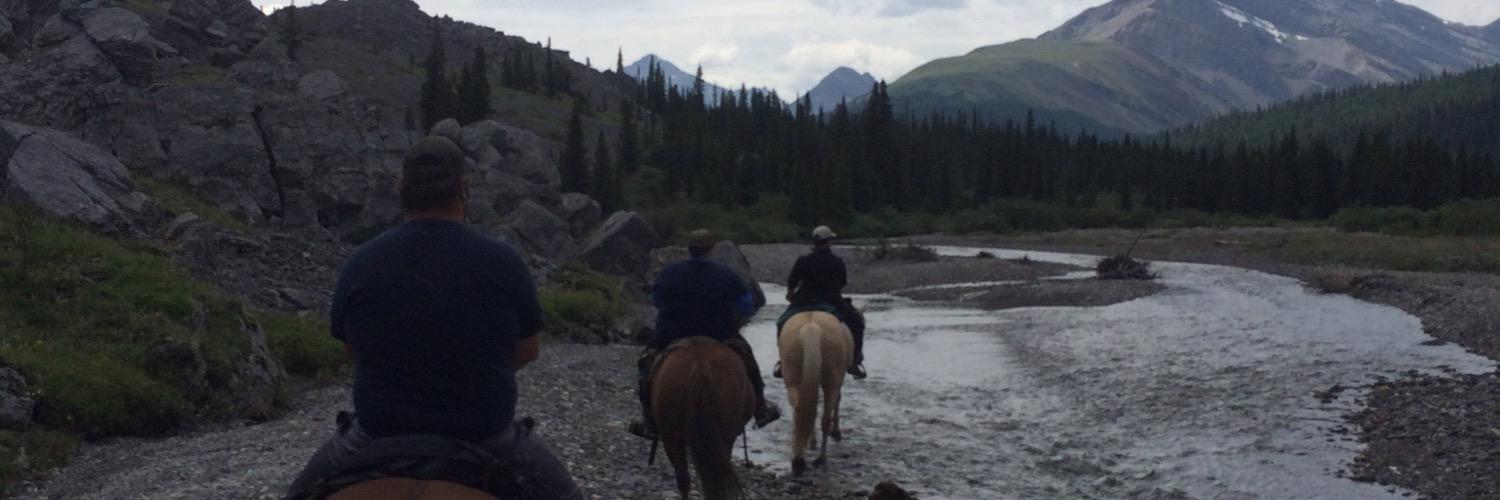 hookhorse's profile banner image