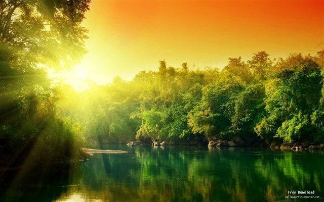 gen2lover's profile banner image