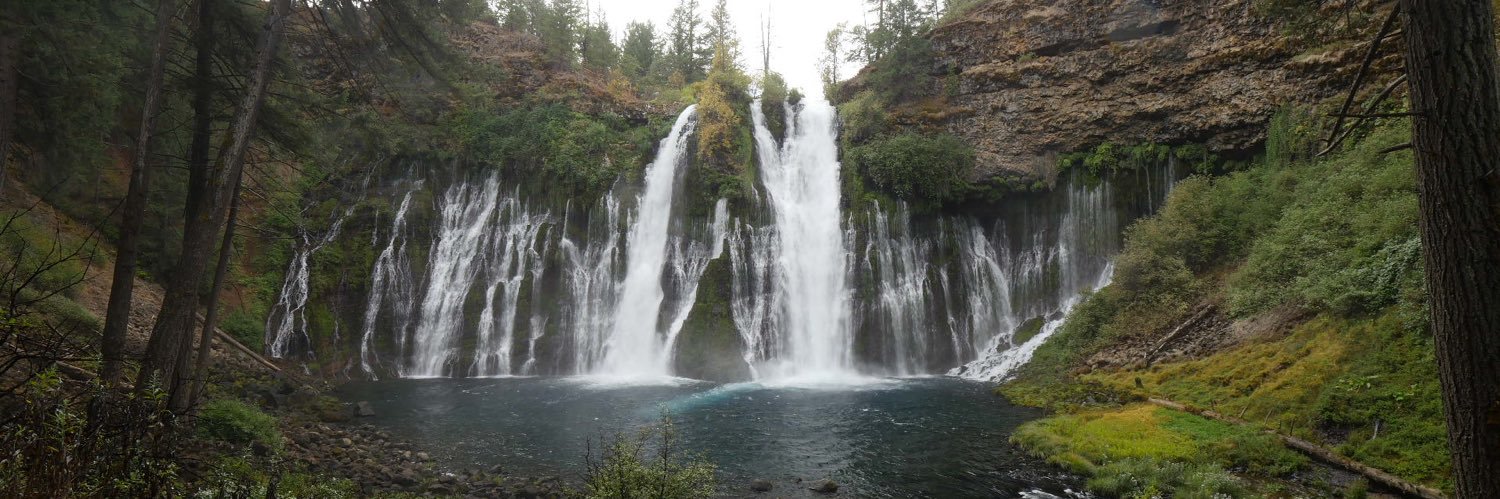 Dana Travels the Blue Marble banner