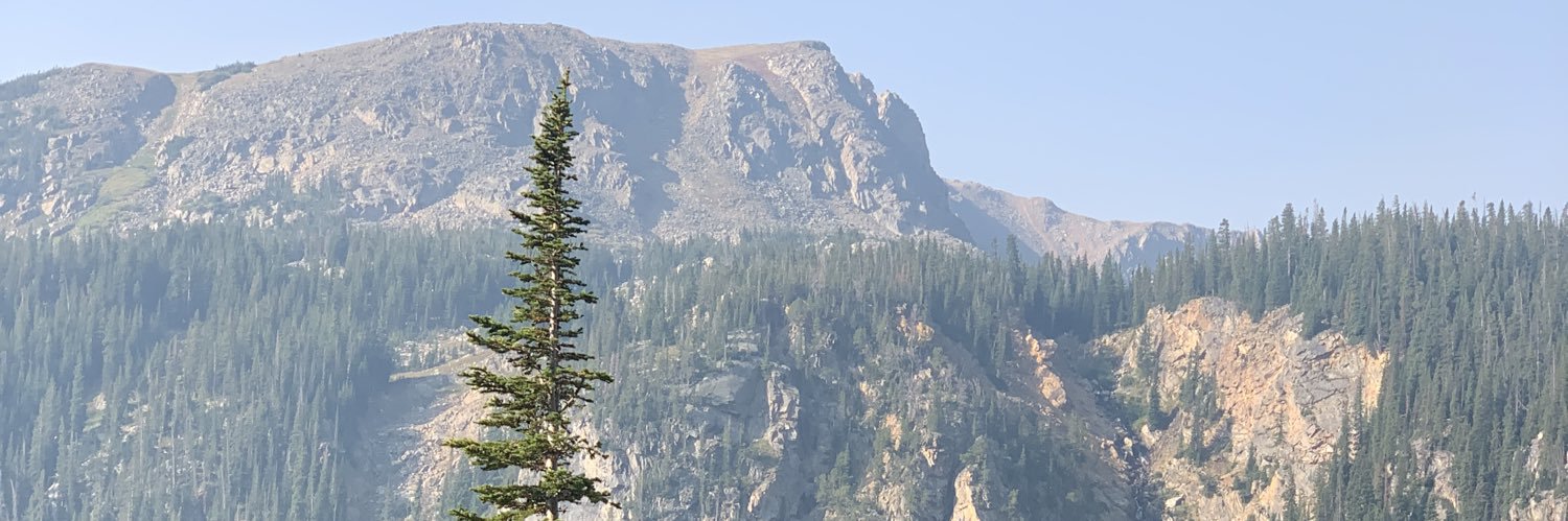chloemalecha's profile banner image