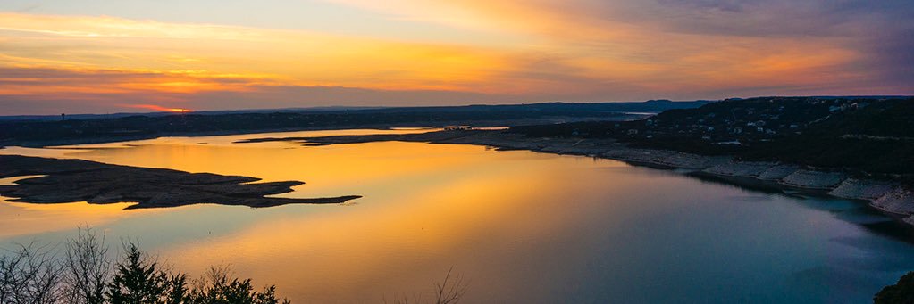 Cathy Pellizzaro banner