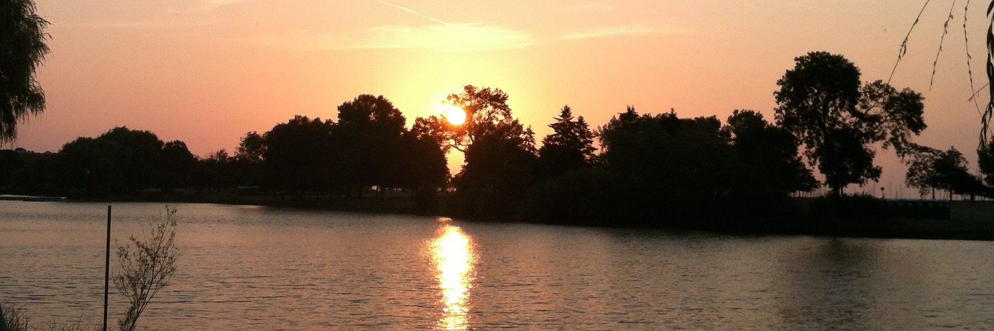 elleinad etihw banner