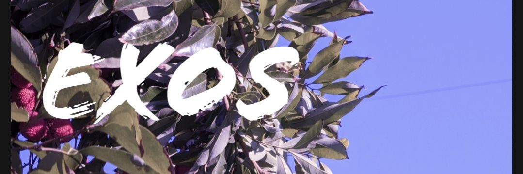 HTStudiosCA's profile banner image