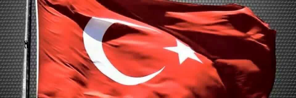 erkinbilginn's profile banner image