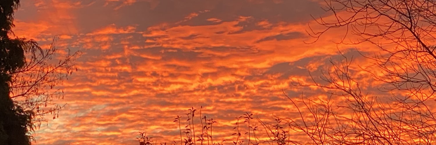RFoz34's profile banner image