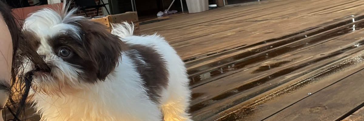 lolwtfits's profile banner image
