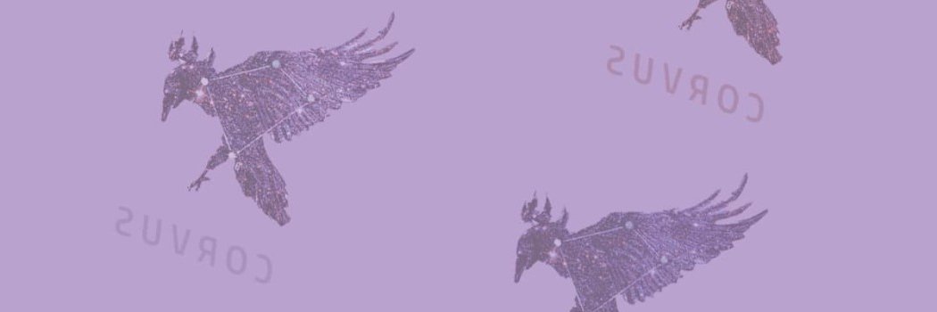 DilosCat's profile banner image