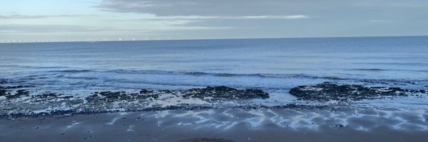 ChloeHowl Profile Banner