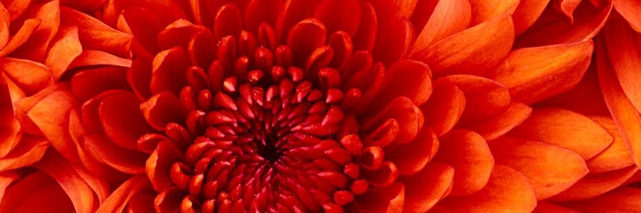 breanne_johnson's profile banner image