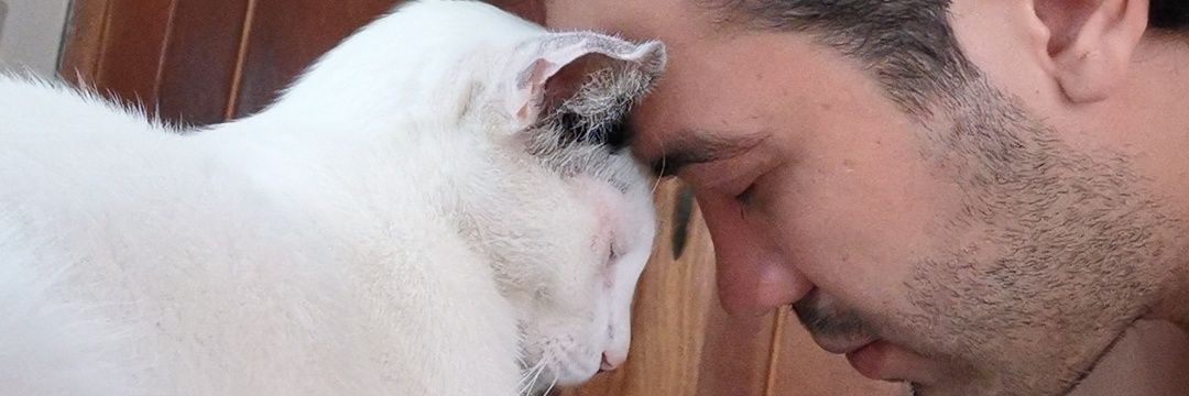 rsg91's profile banner image