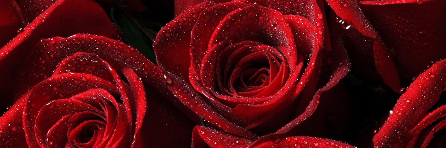 HugSadist's profile banner image