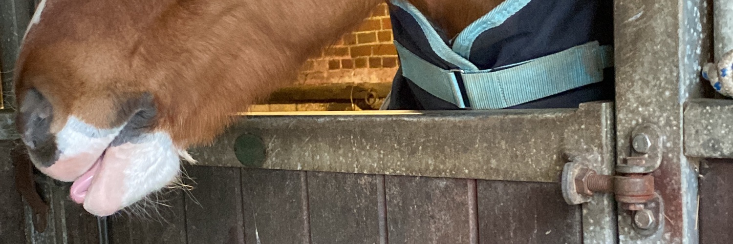 Victoria Parker💙 banner