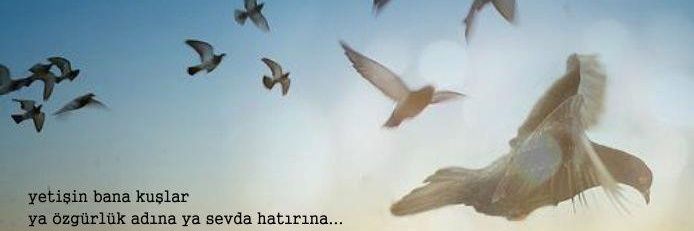 TiryaDa24's profile banner image