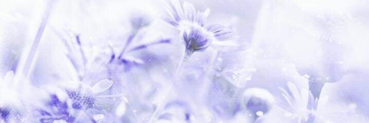 𝒞𝑎𝑠𝑡𝑜𝑟𝑖𝑐𝑒. banner