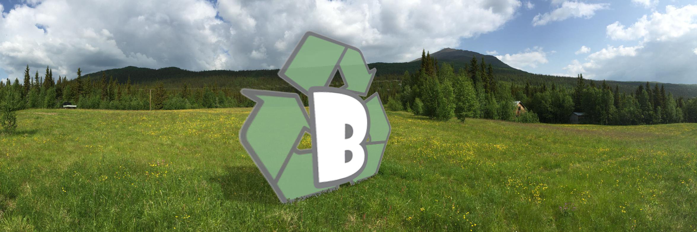 bortskankes's profile banner image