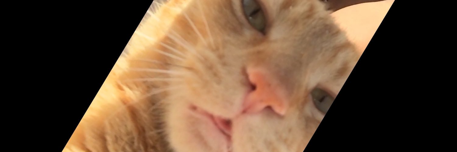 preciousmautla's profile banner image