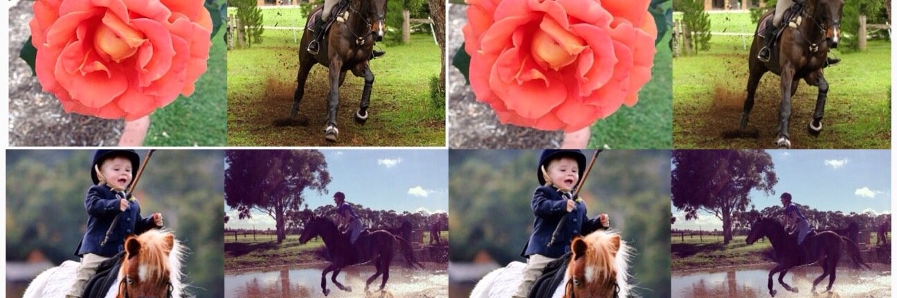 Melb_IHT's profile banner image