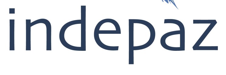 INDEPAZ's banner