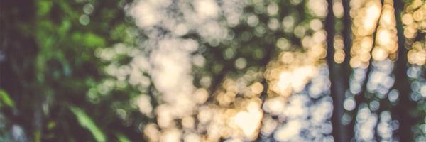 timothyjshaffer Profile Banner
