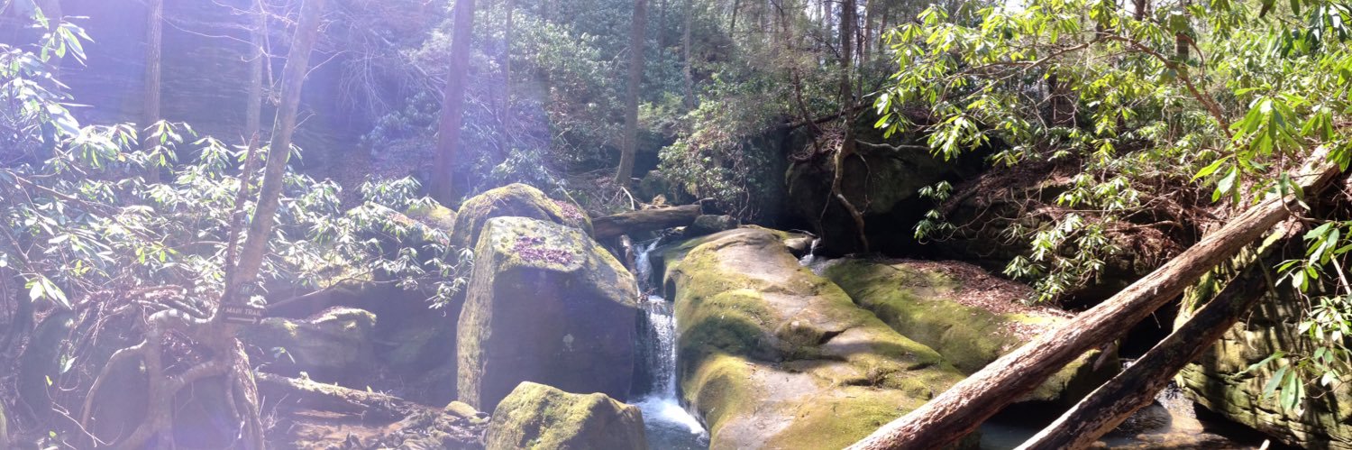 Jen Sheffield banner