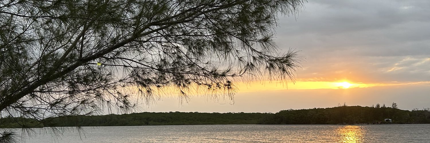 juliakadmo's profile banner image