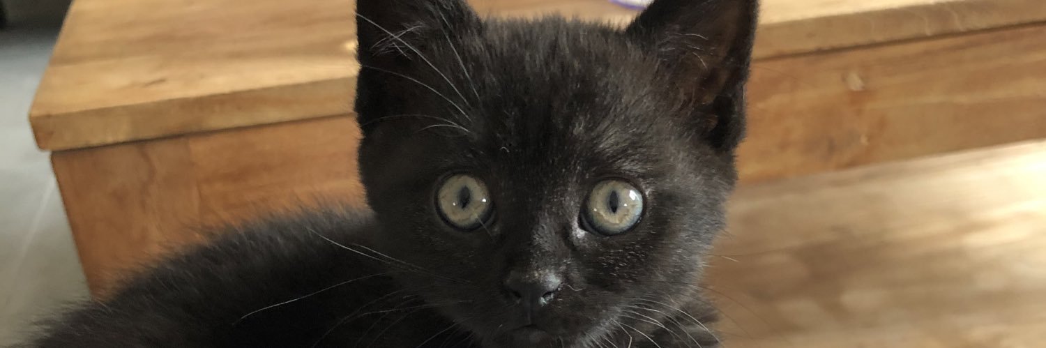 vpxuline's profile banner image