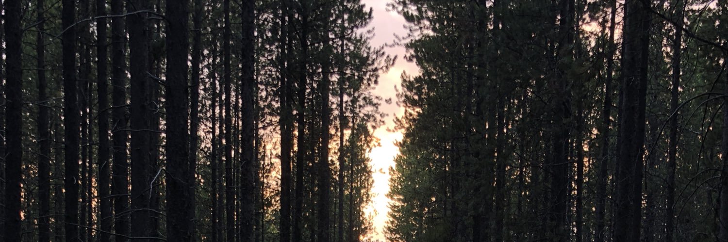 saydeejo13's profile banner image