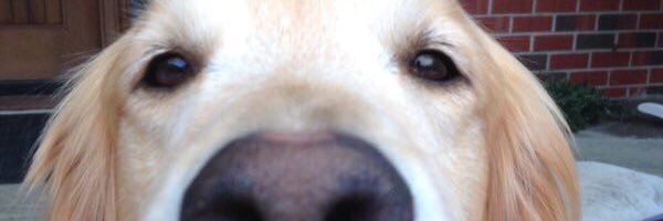 haleyesmith62's profile banner image