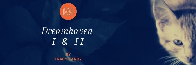 T2Tandy's profile banner image
