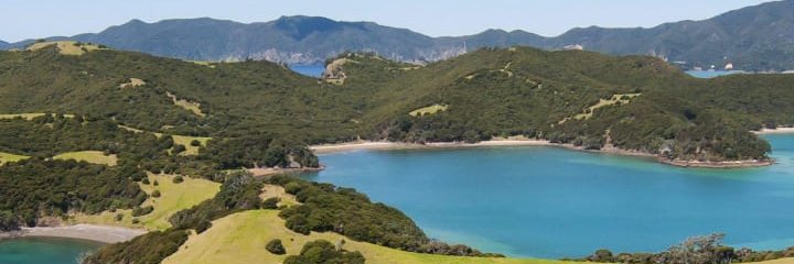 samulsi's profile banner image