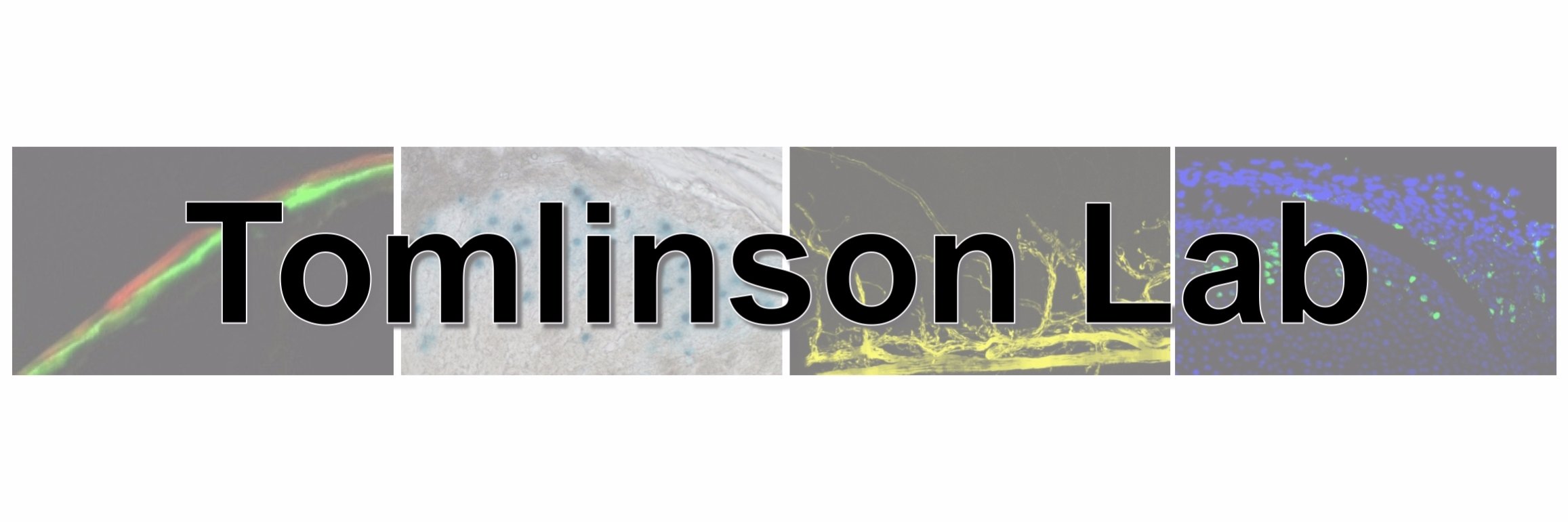 Ryan Tomlinson banner