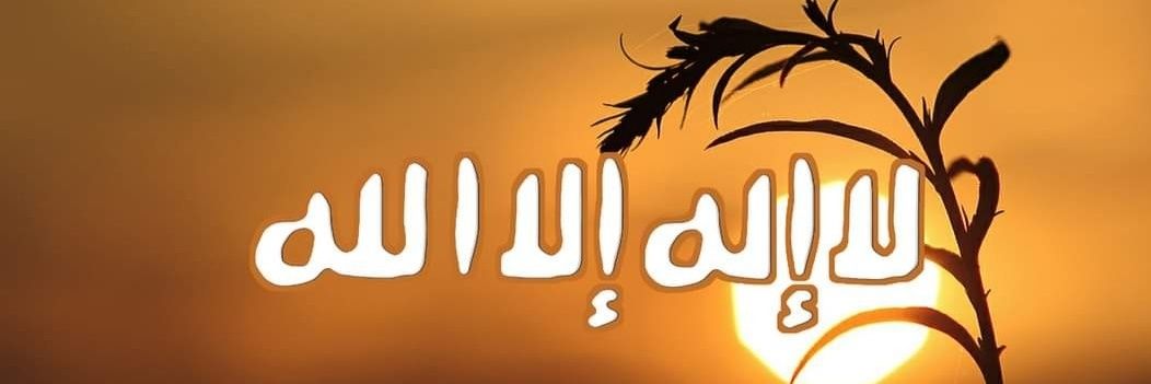black puma banner