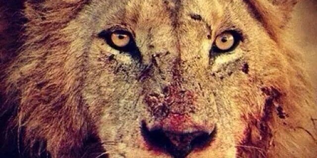 smile_anger's profile banner image
