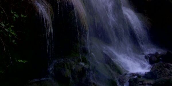 saria27's profile banner image
