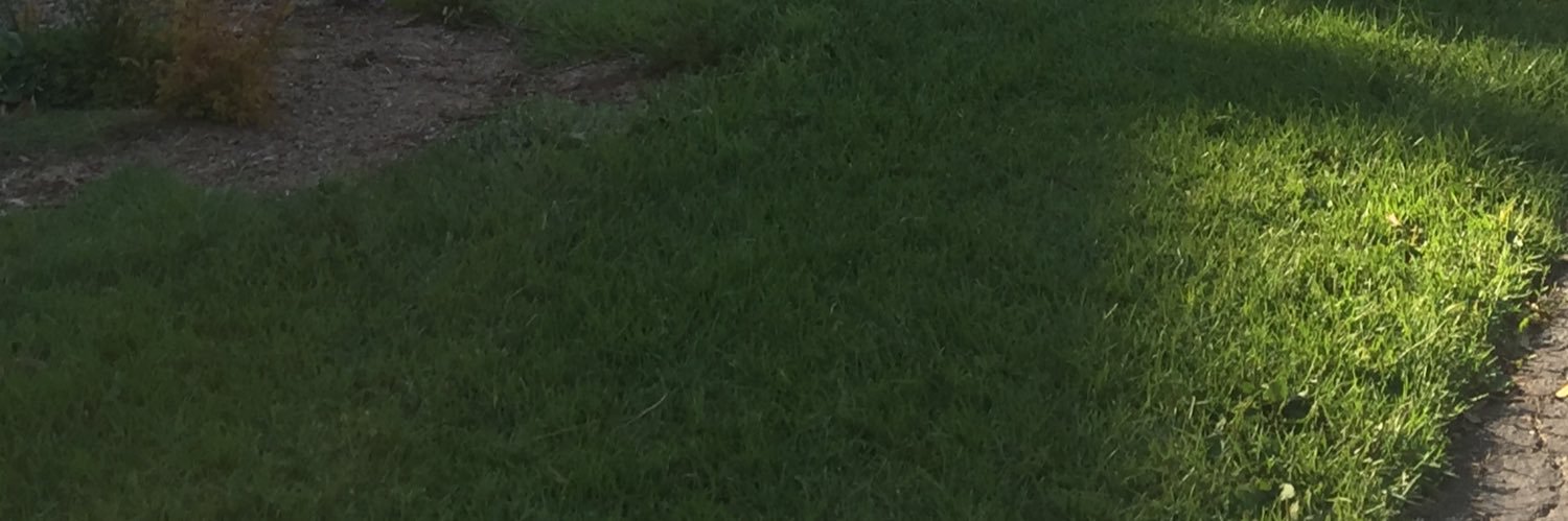 bluewizadg's profile banner image