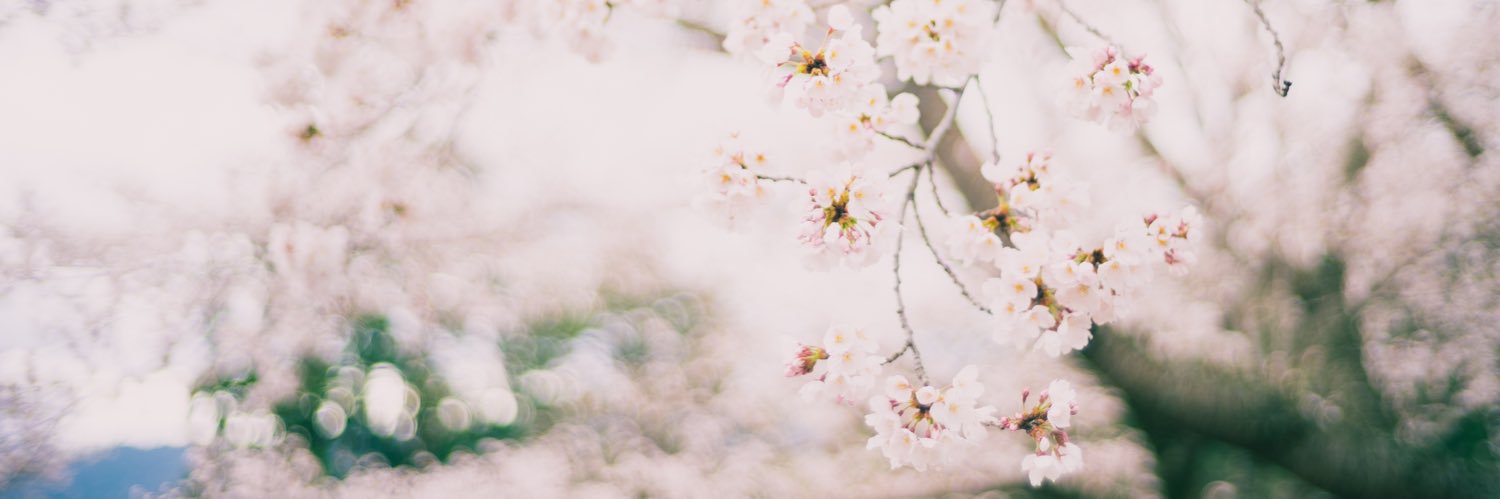leo__han's profile banner image