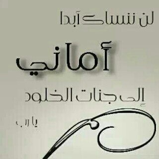 SH_ALHASHMI199's profile banner image