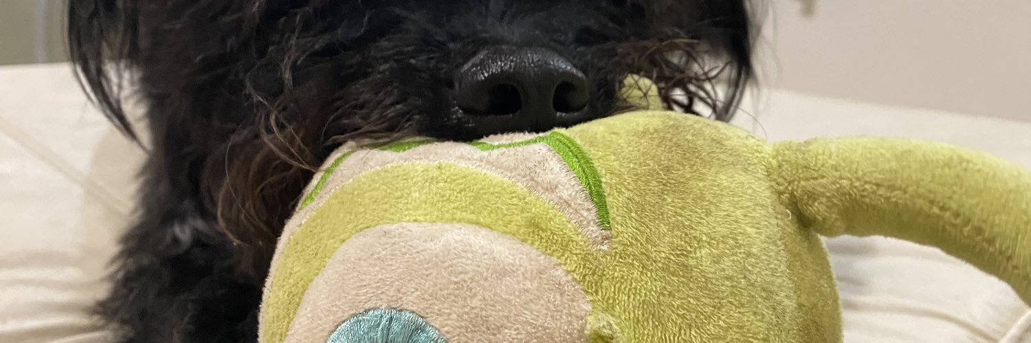SooLPaz's profile banner image